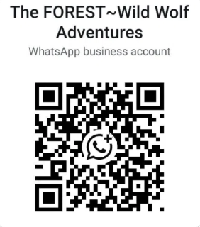 Screenshot 2025-10-16 160855